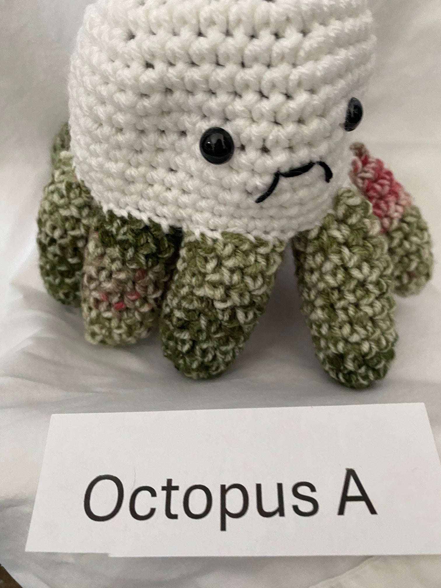 OCTOPUS